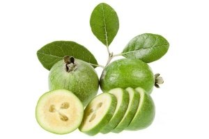 Feijoa Ağacı Arası Kaç Metre Ara İle Dikilir?